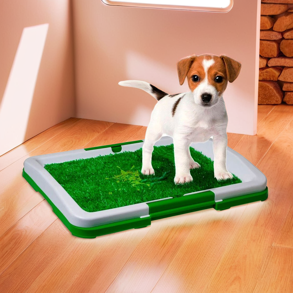 TAPETE BAÑO LAVABLE PARA PERROS